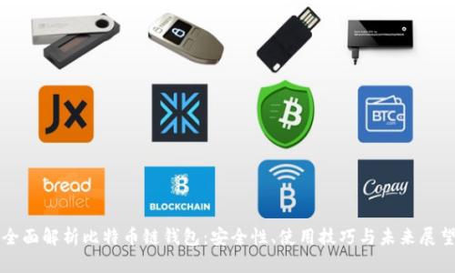 全面解析比特币链钱包：安全性、使用技巧与未来展望