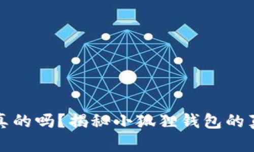 小狐狸钱包是真的吗？揭秘小狐狸钱包的真相与使用指南