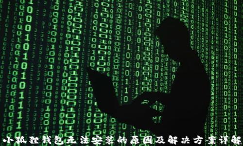 
小狐狸钱包无法安装的原因及解决方案详解