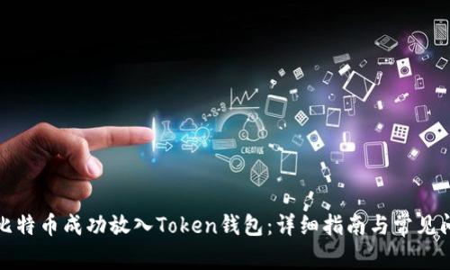 如何将比特币成功放入Token钱包：详细指南与常见问题解答