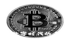 狐狸平台——探索数字时代的多元创意