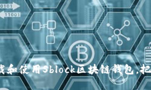 全面解析：如何下载和使用Sblock区块链钱包，把握数字资产的未来