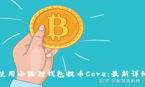 如何使用小狐狸钱包提币Core：最新详细教程