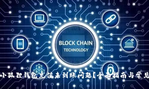 如何解决小狐狸钱包充值未到账问题？全面指南与常见问题解答