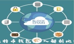 如何选择适合你的比特币钱包：深入解析比特大