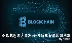 小狐钱包用户须知：如何处理余额过期