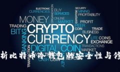 深度解析比特币冷钱包的安全性与修改策略