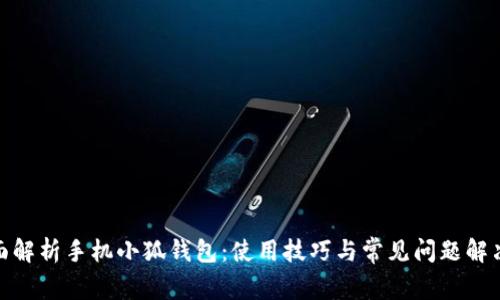 : 全面解析手机小狐钱包：使用技巧与常见问题解决攻略