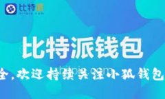   如何找回小狐钱包密码：详细指南与