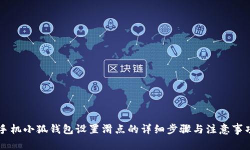 手机小狐钱包设置滑点的详细步骤与注意事项