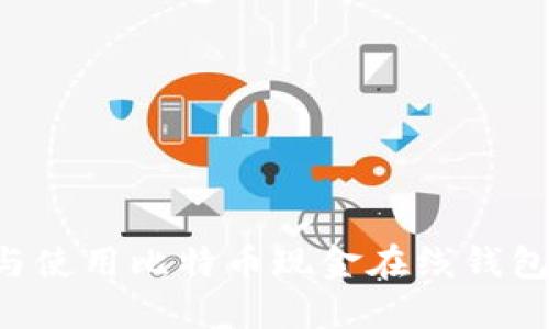 如何选择与使用比特币现金在线钱包：全面指南