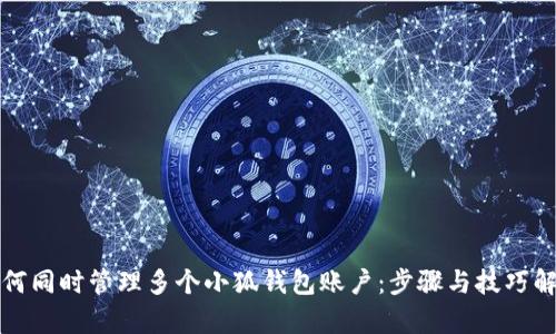 如何同时管理多个小狐钱包账户：步骤与技巧解析