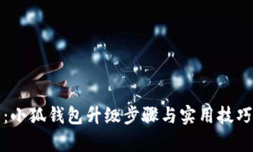 全面解析：小狐钱包升级步骤与实用技巧视频教程