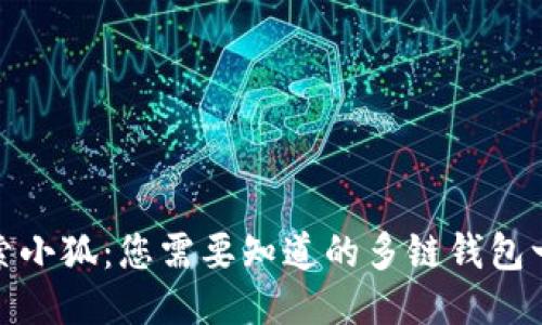 探索小狐：您需要知道的多链钱包一切