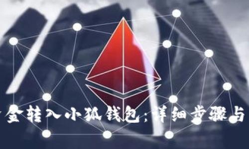 如何将资金转入小狐钱包：详细步骤与注意事项