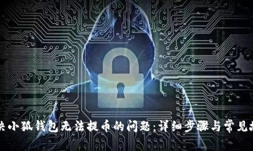 如何解决小狐钱包无法提币的问题：详细步骤与常见故障排查