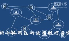 示例全面解析小狐钱包的使用技巧与实