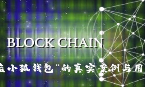 探索“盗小狐钱包”的真实案例与用户体验