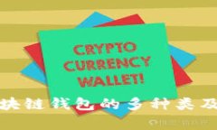 全面解析区块链钱包的多种类及其功能特性