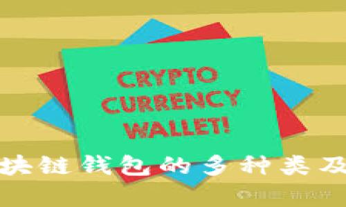 全面解析区块链钱包的多种类及其功能特性