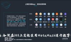 全面指南：如何在iOS上高效使用MetaM