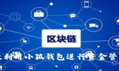 如何高效利用小狐钱包进行资金管理与