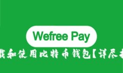 如何安全地下载和使用比特币钱包？详