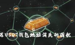 如何应对突遇USDT钱包地址消失的困扰——完整指