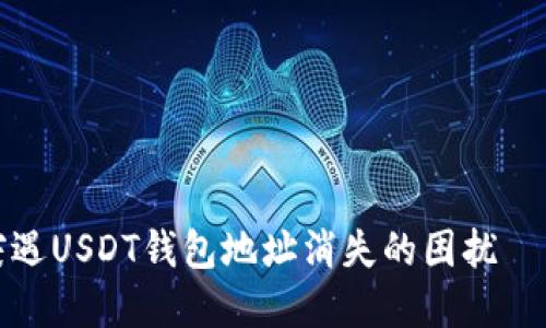 如何应对突遇USDT钱包地址消失的困扰——完整指南