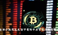 解决电脑小狐钱包无法下载的十大常见