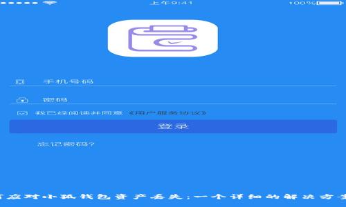  如何应对小狐钱包资产丢失：一个详细的解决方案指南