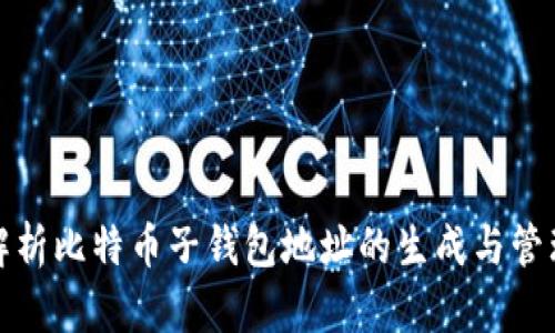 全面解析比特币子钱包地址的生成与管理技巧