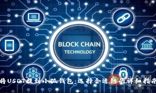 将USDT提到小狐钱包：选择合适链的详细指南