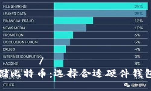 رسالتي/رسالتي
安全存储比特币：选择合适硬件钱包的指南