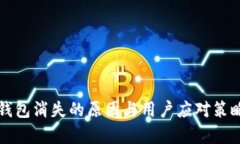小狐钱包消失的原因与用户应对策略分
