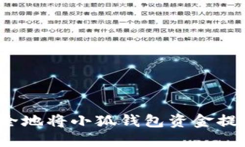 如何高效、安全地将小狐钱包资金提币到个人账户