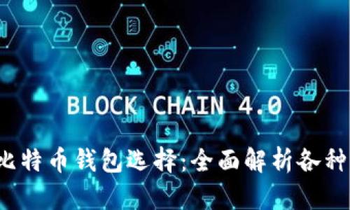 2023年最佳比特币钱包选择：全面解析各种选项的优缺点