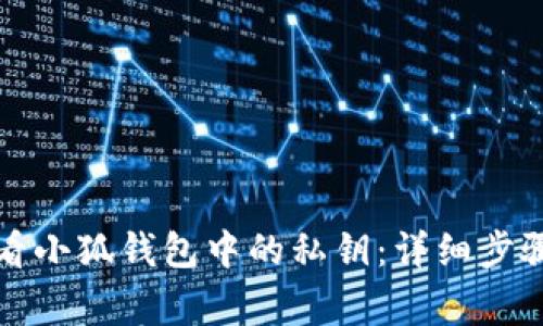 如何安全查看小狐钱包中的私钥：详细步骤与注意事项