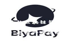 baioti深度解析美国区块链钱包：未来数