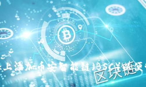 如何在MetaMask上添加币安智能链（BSC）以便管理你的数字资产