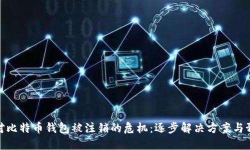 如何应对比特币钱包被注销的危机：逐步解决方案与预防措施