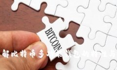 深入了解比特币多功能钱包的特性与实用性