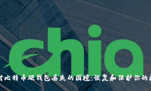 如何应对比特币硬钱包丢失的困境：恢复和保护你的数字资产