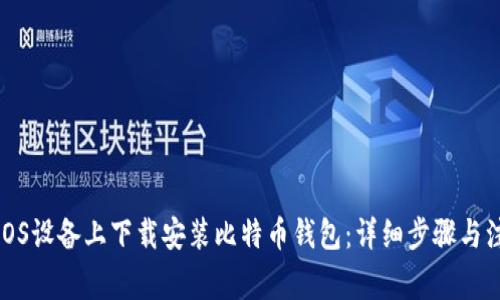如何在iOS设备上下载安装比特币钱包：详细步骤与注意事项