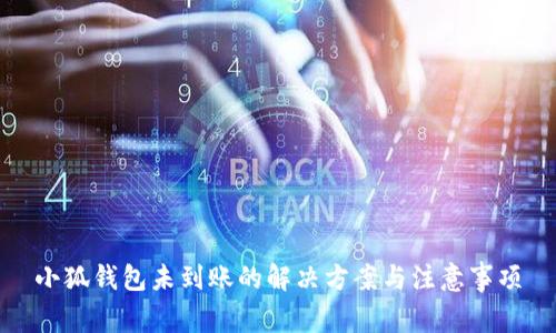 小狐钱包未到账的解决方案与注意事项
