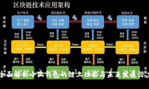 全面解析小狐钱包的链上功能与未来发展潜力