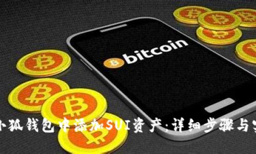 如何在小狐钱包中添加SUI资产：详细步骤与实用技巧