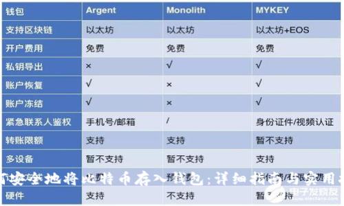 如何安全地将比特币存入钱包：详细指南与实用技巧