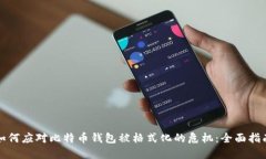 如何应对比特币钱包被格式化的危机：全面指南