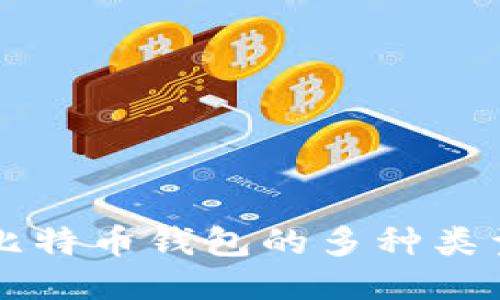 深入探讨比特币钱包的多种类型及其特点